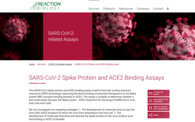 SARS-CoV-2 Spike-ACE2 Disruption Assay 