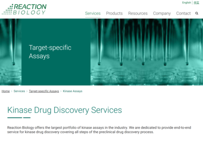 Kinase Drug Discovery Services 