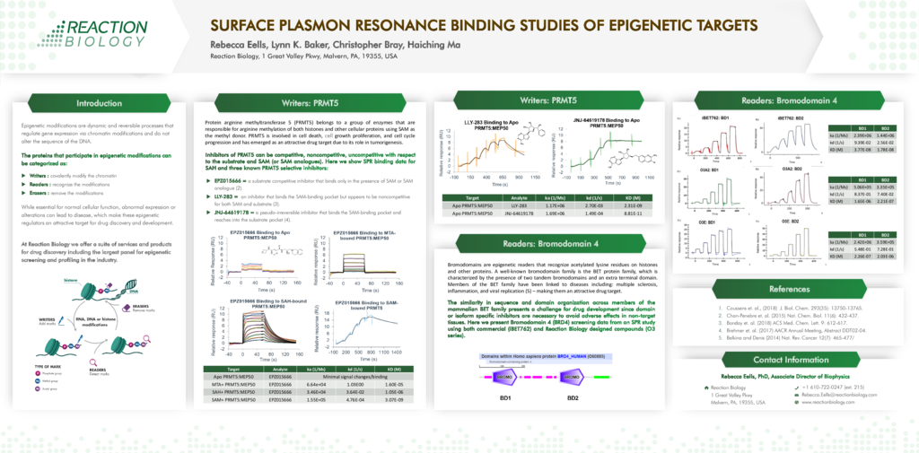 Surface Plasmon Responance Binding Studies of Epigenetic Targets with PRMT5 and BRD4.