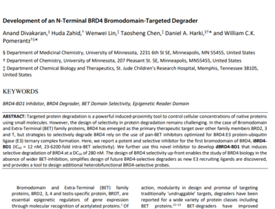 Development of an N-Terminal BRD4 Bromodomain-Targeted Degrader. ChemRxiv, 2021 