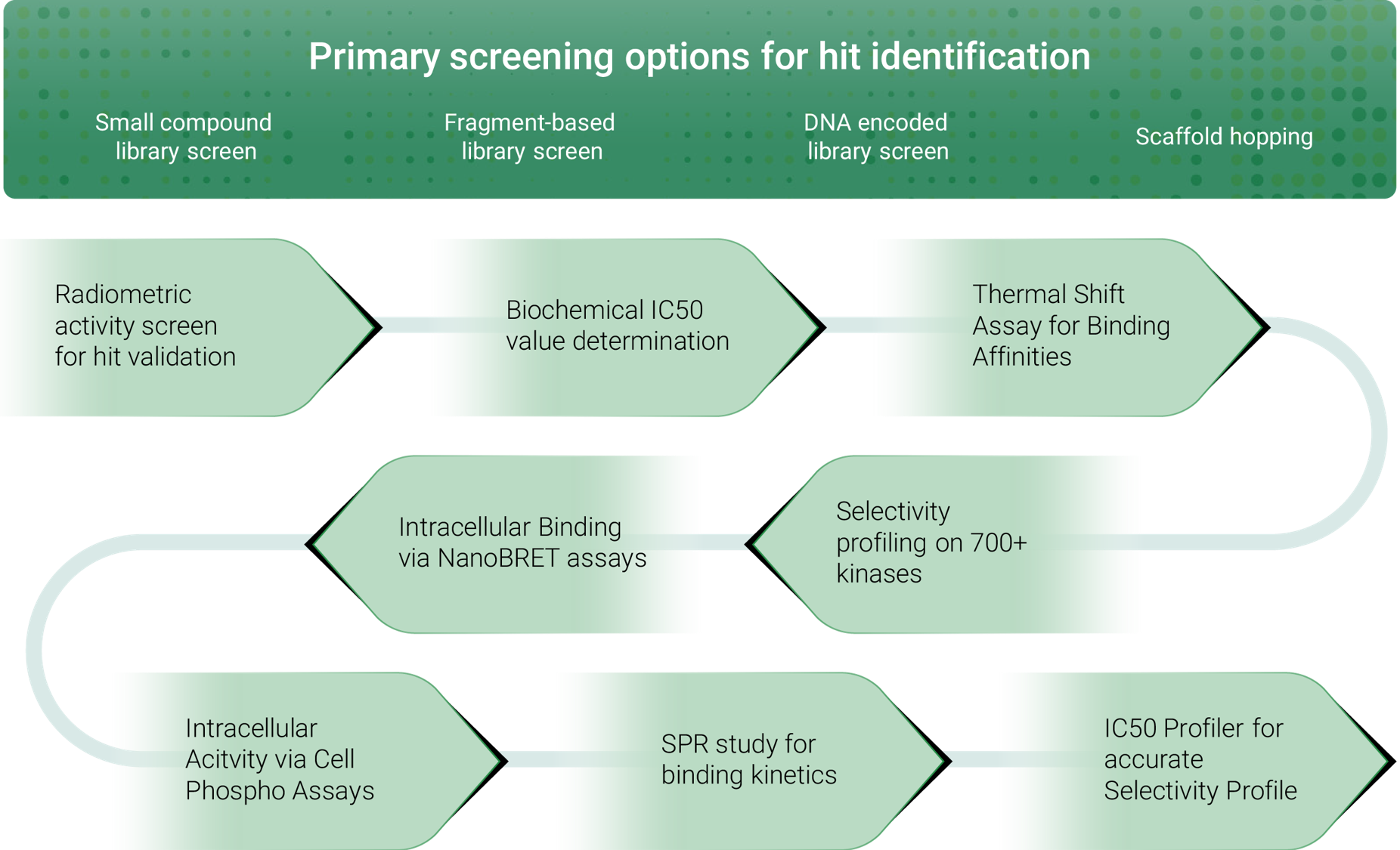 compound screening cascade with kinase inhibitors