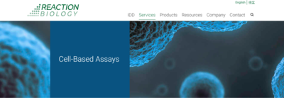 Apoptosis Assay Services for Drug Discovery 