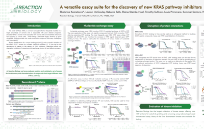 A versatile assay suite for the discovery of new KRAS pathway inhibitors