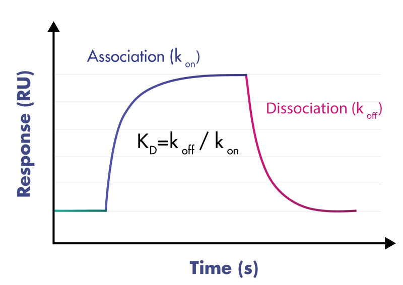 Surface plasmon resonance kinetic chart