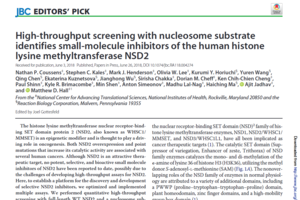 High-throughput screening with nucleosome substrate identifies small-molecule inhibitors of the human histone lysine methyltransferase NSD2. The Journal of Biological Chemistry, 2018