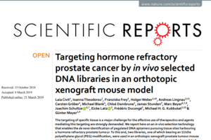 Targeting hormone refractory prostate cancer by in vivo selected DNA libraries in an orthotopic xenograft mouse model. Scientific Reports, 2019