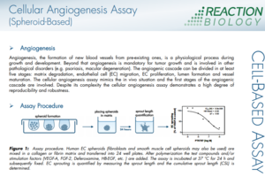Cellular Angiogenesis Assay