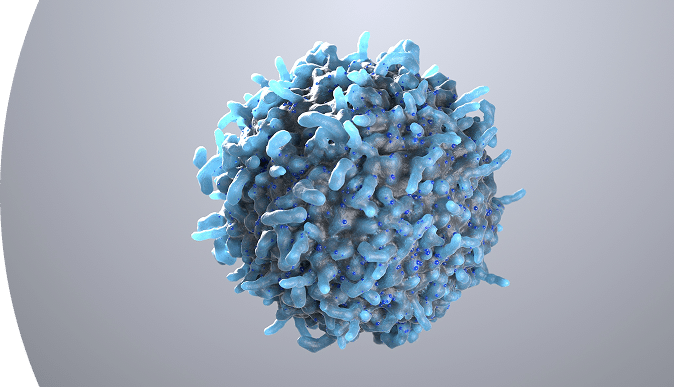 Macrophage Cell-based Assays