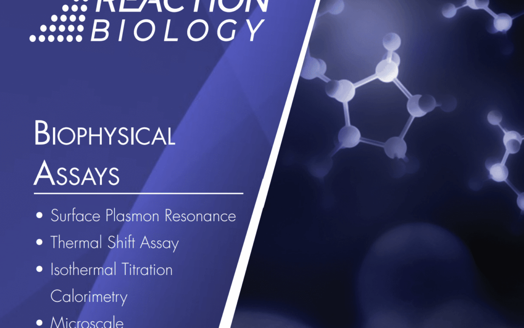 Biophysical Assays