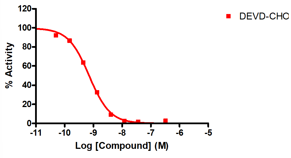 Reference compound IC50 for Caspase 3