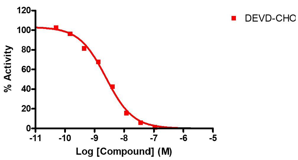 Reference compound IC50 for Caspase 7