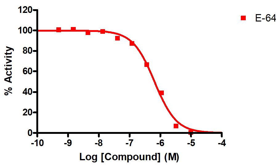 Reference compound IC50 for Cathepsin C