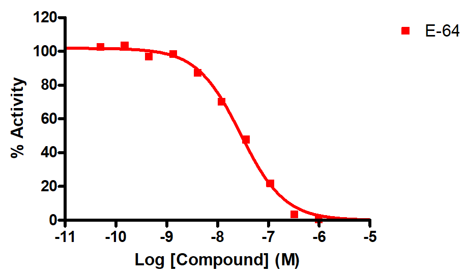 Reference compound IC50 for Cathepsin H