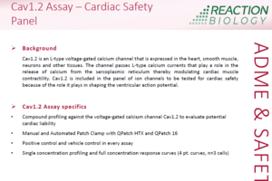 Cav1.2 Assay – Cardiac Safety Panel