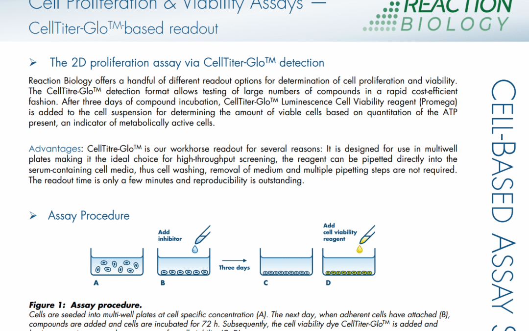 Cell Proliferation Assay with CellTiter-Glo Readout