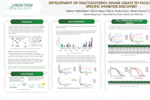 Development of diacylglycerol kinase assays to facilitate isoform-specific inhibitor discovery