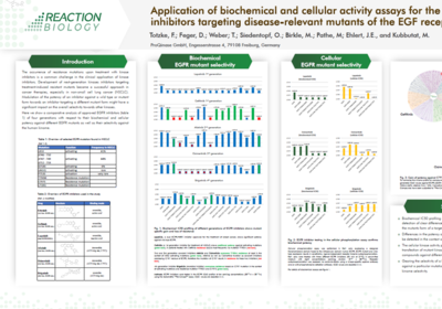 Application of biochemical and cellular activity assays for the characterization of inhibitors targeting disease-relevant mutants of the EGF receptor