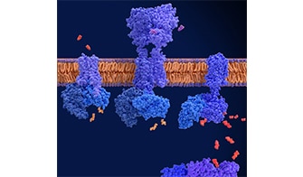 InVEST Panel Screening Dates