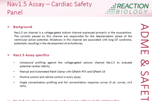 Nav1.5 Assay – Cardiac Safety Panel