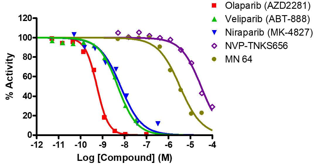 Reference compound inhibition for PARP2