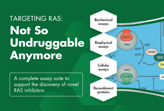 RAS Assay Suite for Drug Discovery