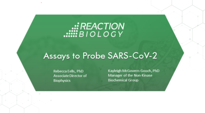 Targeting SARS-CoV-2: A suite of assays to accelerate drug discovery