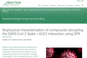 Biophysical characterization of compounds disrupting the SARS-CoV-2 Spike – ACE2 interaction using SPR
