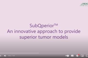 SubQperior - An innovative approach to provide superior tumor models