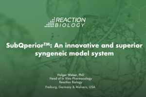SubQperior: An innovative and superior syngeneic model system