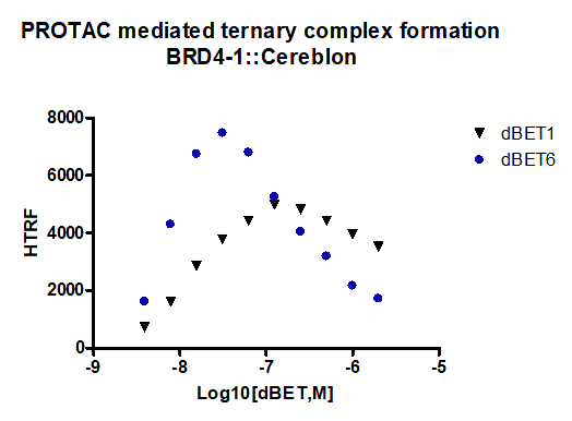 Cereblon Ternary Complex PROTAC Assay Service