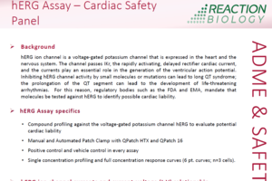 hERG Assay – Cardiac Safety Panel