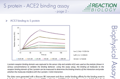 Spike – ACE2 binding assay 