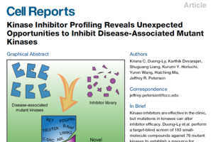 Kinase Inhibitor Profiling Reveals Unexpected Opportunities to Inhibit Disease-Associated Mutant Kinases. Cell Reports, 2016