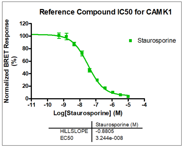 Reference compound IC50 for CAMK1