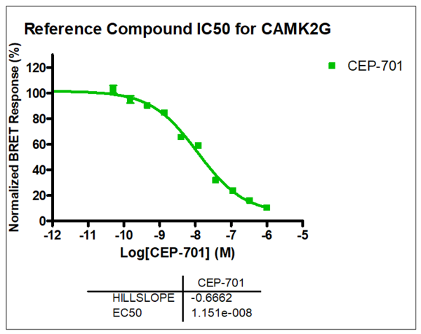 Reference compound IC50 for CAMK2G