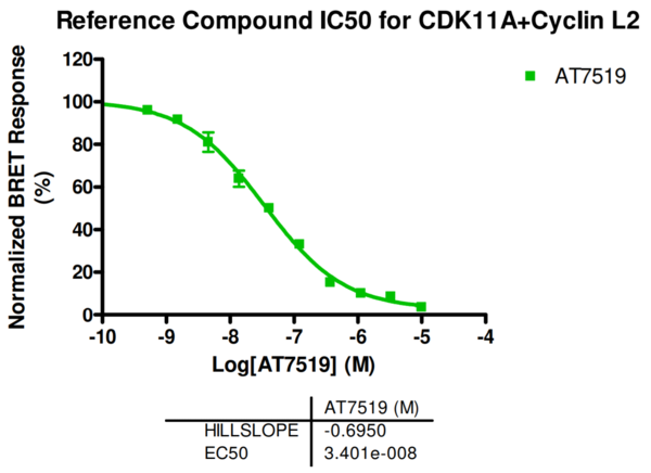 Reference compound IC50 for CDK11A+Cyclin L2