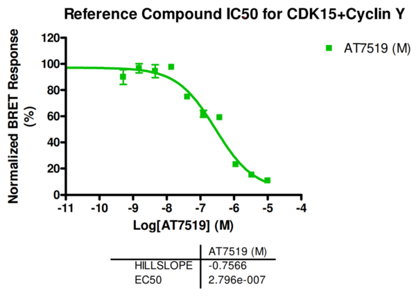 Reference compound IC50 for CDK15+Cyclin Y