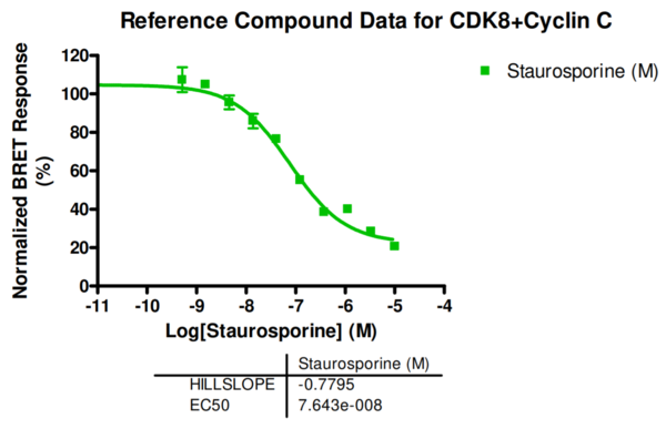Reference compound IC50 for CDK8+Cyclin C