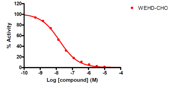 Reference compound IC50 for Caspase 14