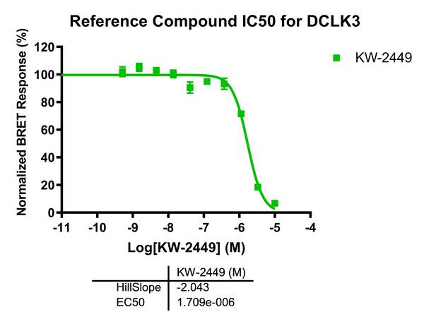 Reference compound IC50 for DCLK3