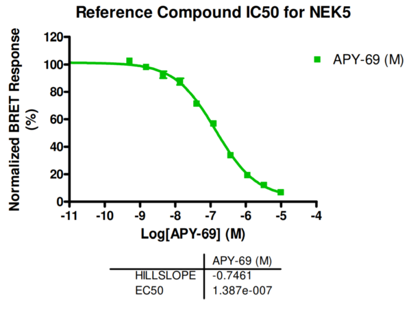 Reference compound IC50 for NEK5