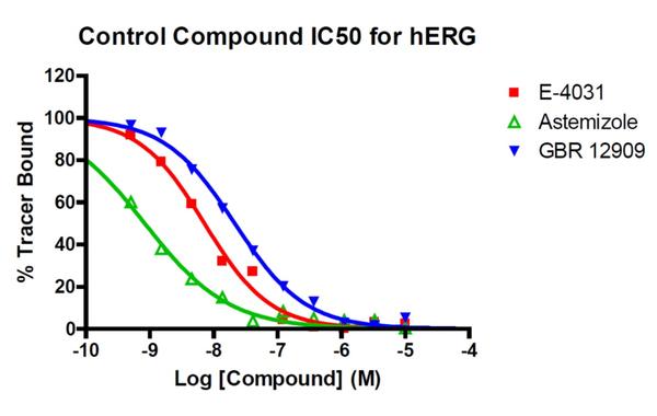 IC50 determination hERG binding 