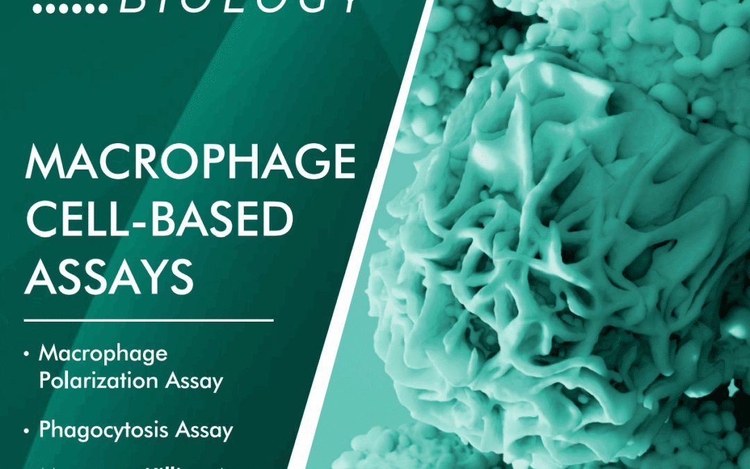 Macrophage Cell-Based Assays