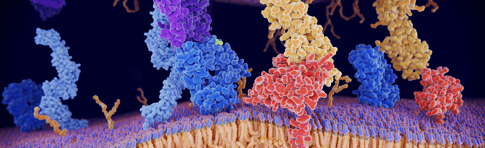 LinkLight<sup>™</sup> Protein Interaction Analysis Services