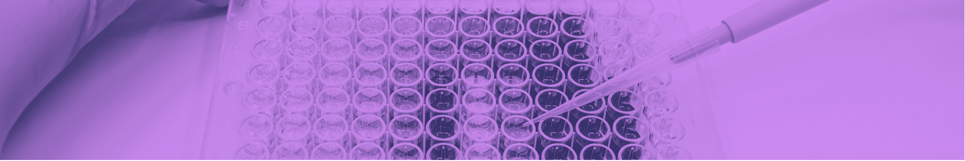 ELISA / Western Blot / Alpha Technology