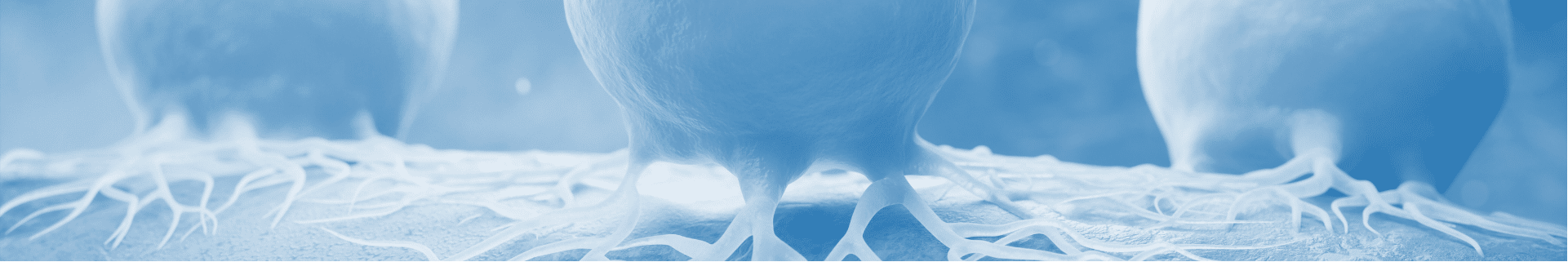 Cellular Kinase Assays