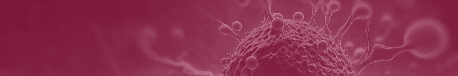 T Cell Killing Assays