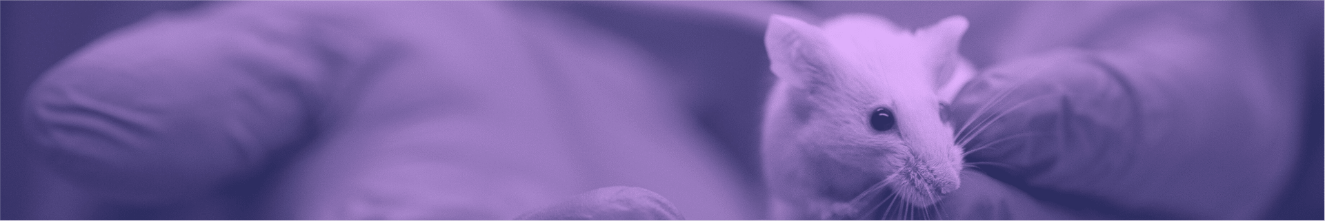 Subcutaneous Tumor Models