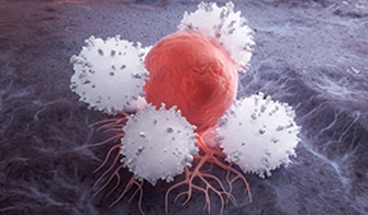 Broad Immune Profiling Assays