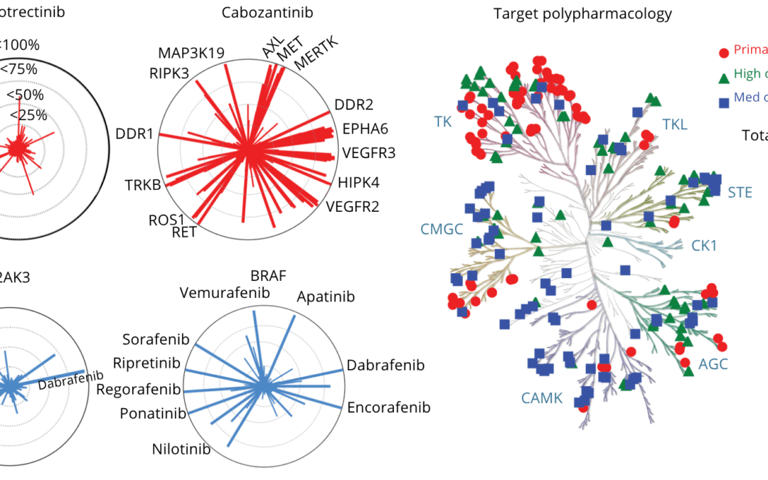 Mapping the Full Kinase Landscape: Beyond Druggable Targets